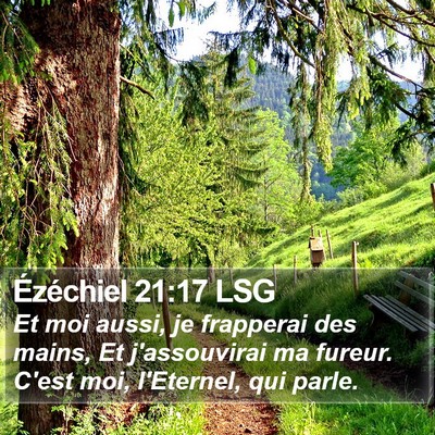 Ézéchiel 21:17 LSG Bible Verse Image