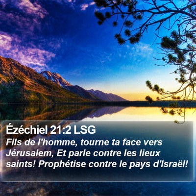 Ézéchiel 21:2 LSG Bible Verse Image
