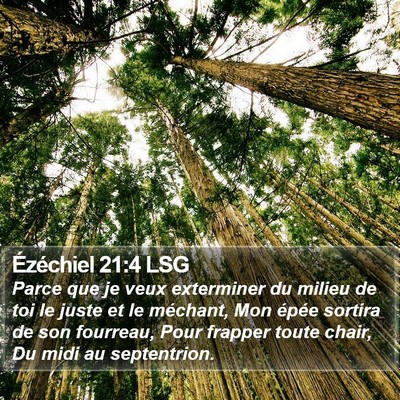Ézéchiel 21:4 LSG Bible Verse Image