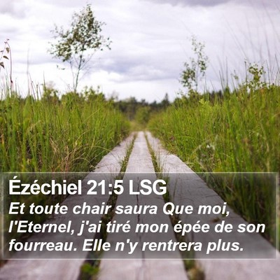 Ézéchiel 21:5 LSG Bible Verse Image
