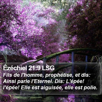 Ézéchiel 21:9 LSG Bible Verse Image