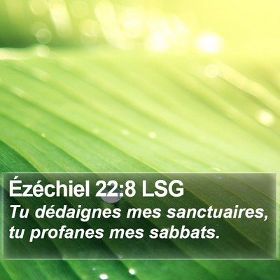 Ézéchiel 22:8 LSG Bible Verse Image