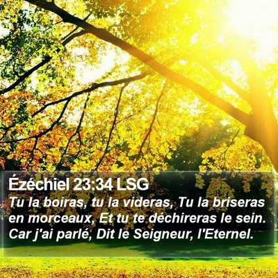 Ézéchiel 23:34 LSG Bible Verse Image
