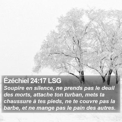 Ézéchiel 24:17 LSG Bible Verse Image