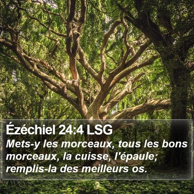 Ézéchiel 24:4 LSG Bible Verse Image