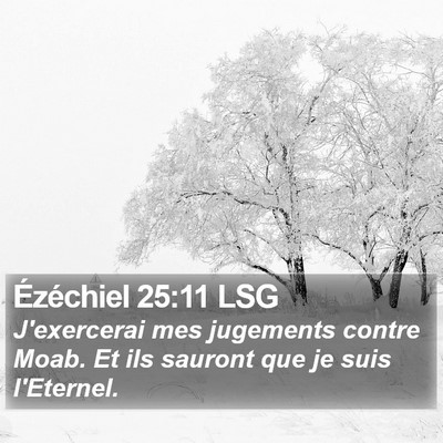 Ézéchiel 25:11 LSG Bible Verse Image