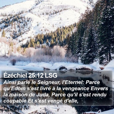 Ézéchiel 25:12 LSG Bible Verse Image