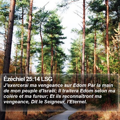 Ézéchiel 25:14 LSG Bible Verse Image