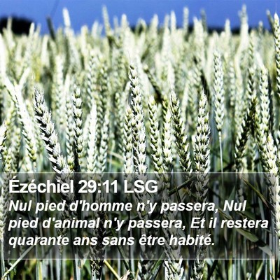 Ézéchiel 29:11 LSG Bible Verse Image