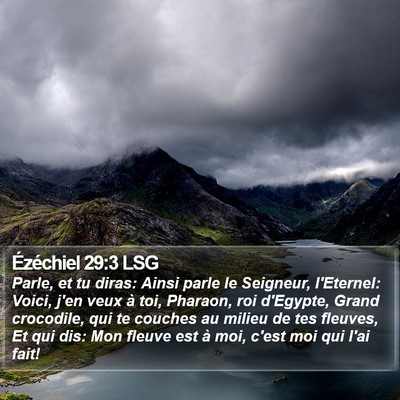 Ézéchiel 29:3 LSG Bible Verse Image