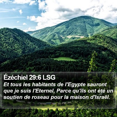 Ézéchiel 29:6 LSG Bible Verse Image