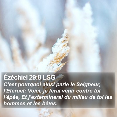 Ézéchiel 29:8 LSG Bible Verse Image