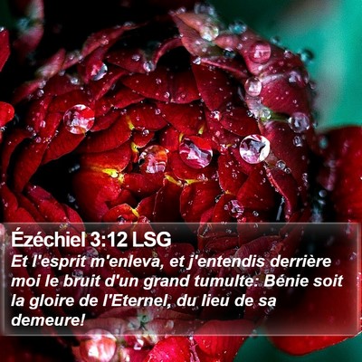 Ézéchiel 3:12 LSG Bible Verse Image