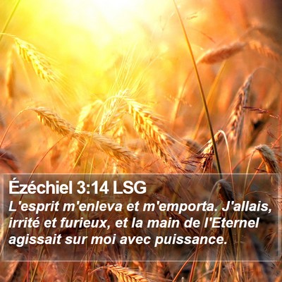 Ézéchiel 3:14 LSG Bible Verse Image