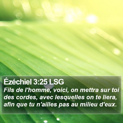 Ézéchiel 3:25 LSG Bible Verse Image