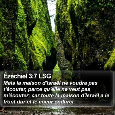 Ézéchiel 3:7 LSG Bible Verse Image