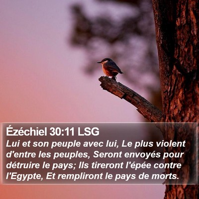Ézéchiel 30:11 LSG Bible Verse Image