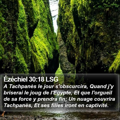 Ézéchiel 30:18 LSG Bible Verse Image