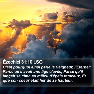 Ézéchiel 31:10 LSG Bible Verse Image