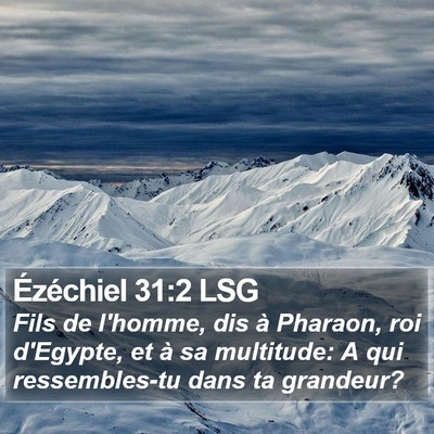 Ézéchiel 31:2 LSG Bible Verse Image