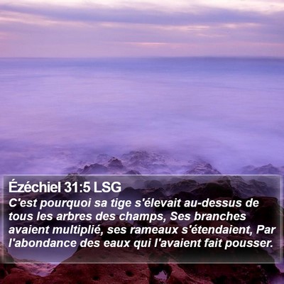 Ézéchiel 31:5 LSG Bible Verse Image