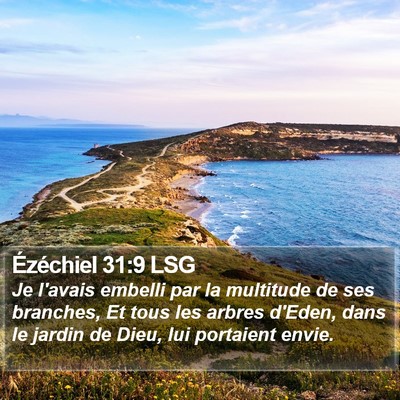 Ézéchiel 31:9 LSG Bible Verse Image