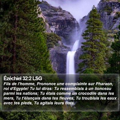 Ézéchiel 32:2 LSG Bible Verse Image