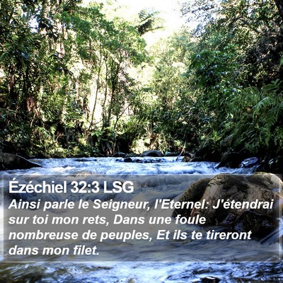 Ézéchiel 32:3 LSG Bible Verse Image