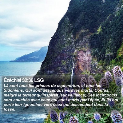 Ézéchiel 32:30 LSG Bible Verse Image