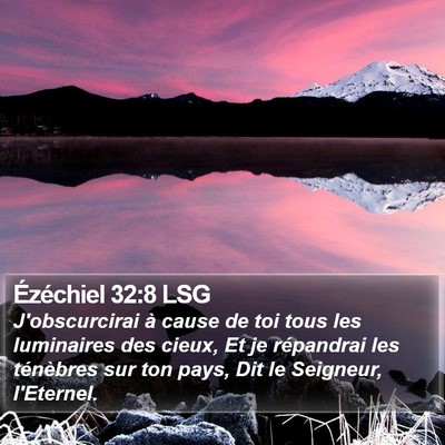 Ézéchiel 32:8 LSG Bible Verse Image