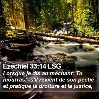 Ézéchiel 33:14 LSG Bible Verse Image