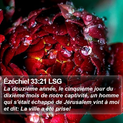 Ézéchiel 33:21 LSG Bible Verse Image