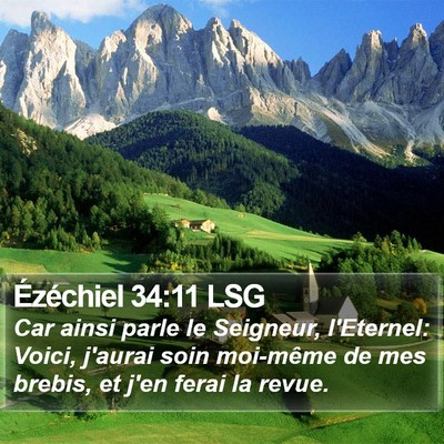 Ézéchiel 34:11 LSG Bible Verse Image