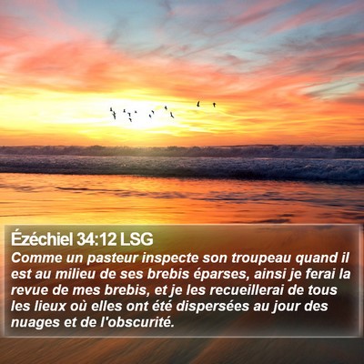 Ézéchiel 34:12 LSG Bible Verse Image