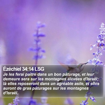 Ézéchiel 34:14 LSG Bible Verse Image
