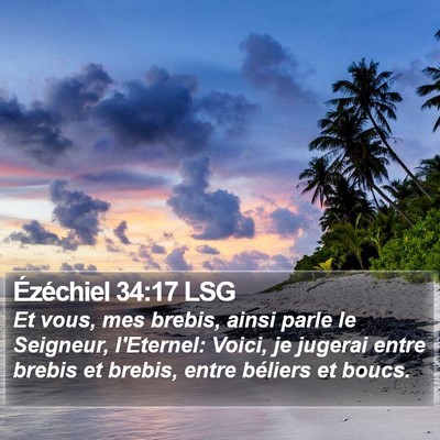 Ézéchiel 34:17 LSG Bible Verse Image
