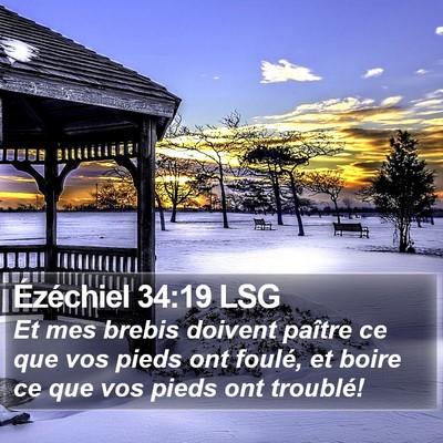 Ézéchiel 34:19 LSG Bible Verse Image