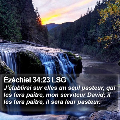 Ézéchiel 34:23 LSG Bible Verse Image