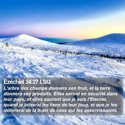 Ézéchiel 34:27 LSG Bible Verse Image