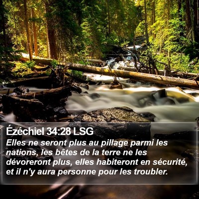 Ézéchiel 34:28 LSG Bible Verse Image