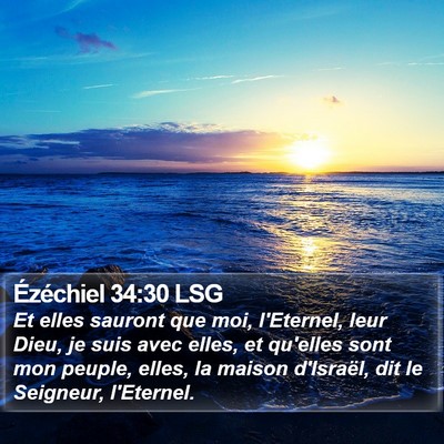 Ézéchiel 34:30 LSG Bible Verse Image