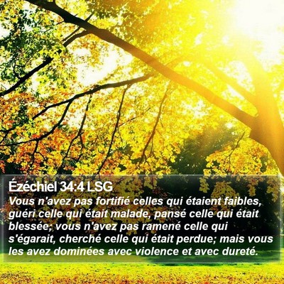 Ézéchiel 34:4 LSG Bible Verse Image
