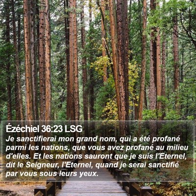 Ézéchiel 36:23 LSG Bible Verse Image