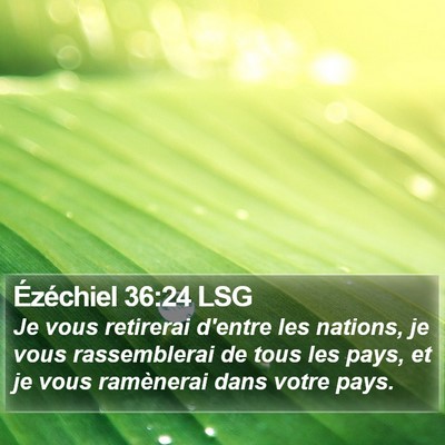 Ézéchiel 36:24 LSG Bible Verse Image