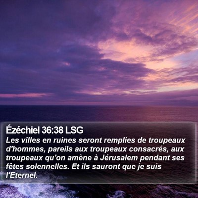 Ézéchiel 36:38 LSG Bible Verse Image