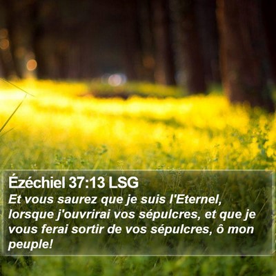 Ézéchiel 37:13 LSG Bible Verse Image