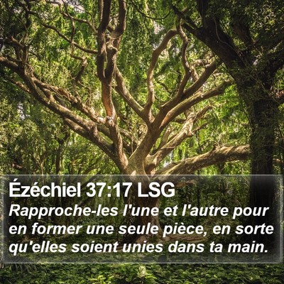 Ézéchiel 37:17 LSG Bible Verse Image