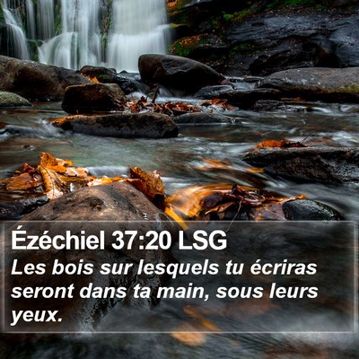 Ézéchiel 37:20 LSG Bible Verse Image
