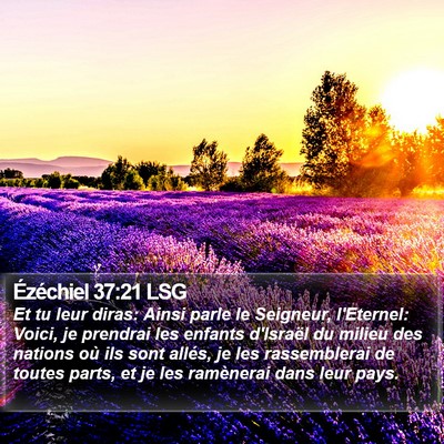 Ézéchiel 37:21 LSG Bible Verse Image