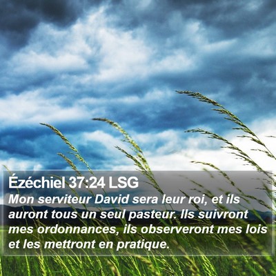 Ézéchiel 37:24 LSG Bible Verse Image